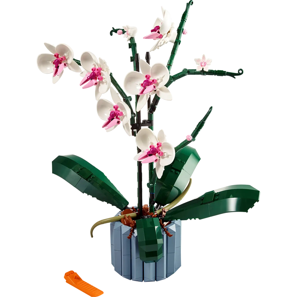 洋蘭 ORCHID FLOWERS OrchidLego-square_1024x1024.