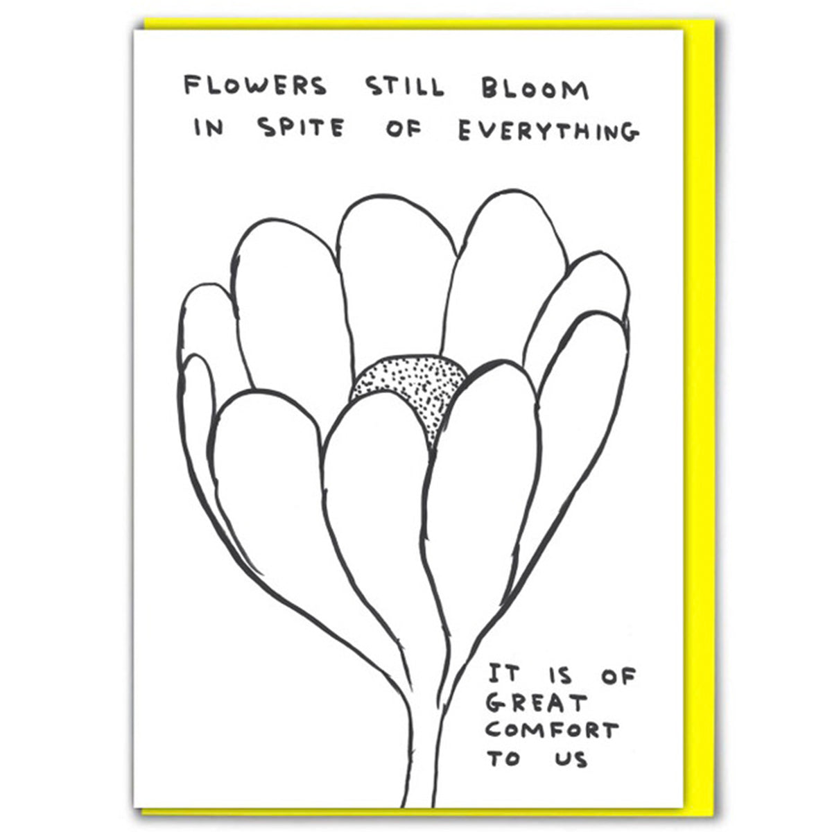 David Shrigley // Flowers Still Bloom — OPEN EDITIONS