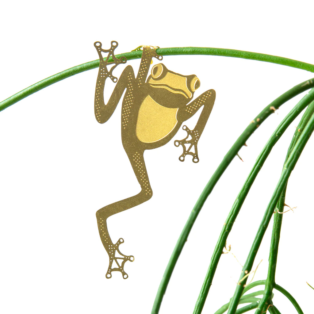 Another Studio / Plant Animals + Awards